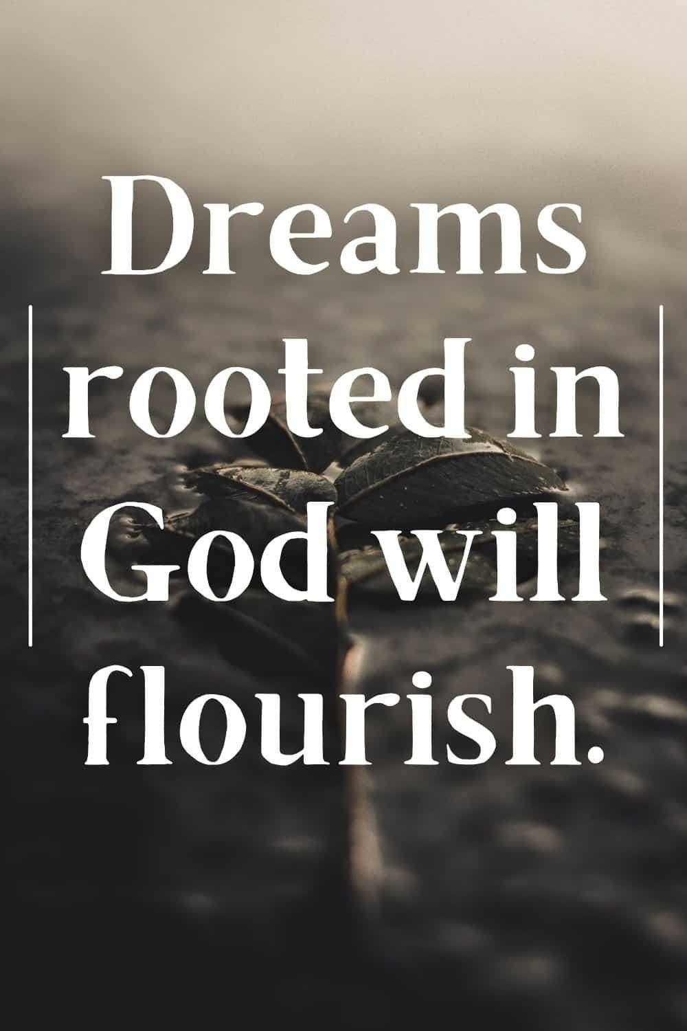 Dreams rooted in God will flourish.